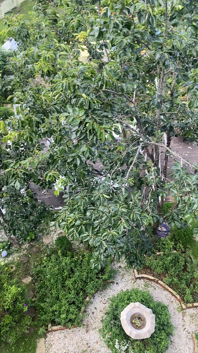 The KUPID Dalat hình 5